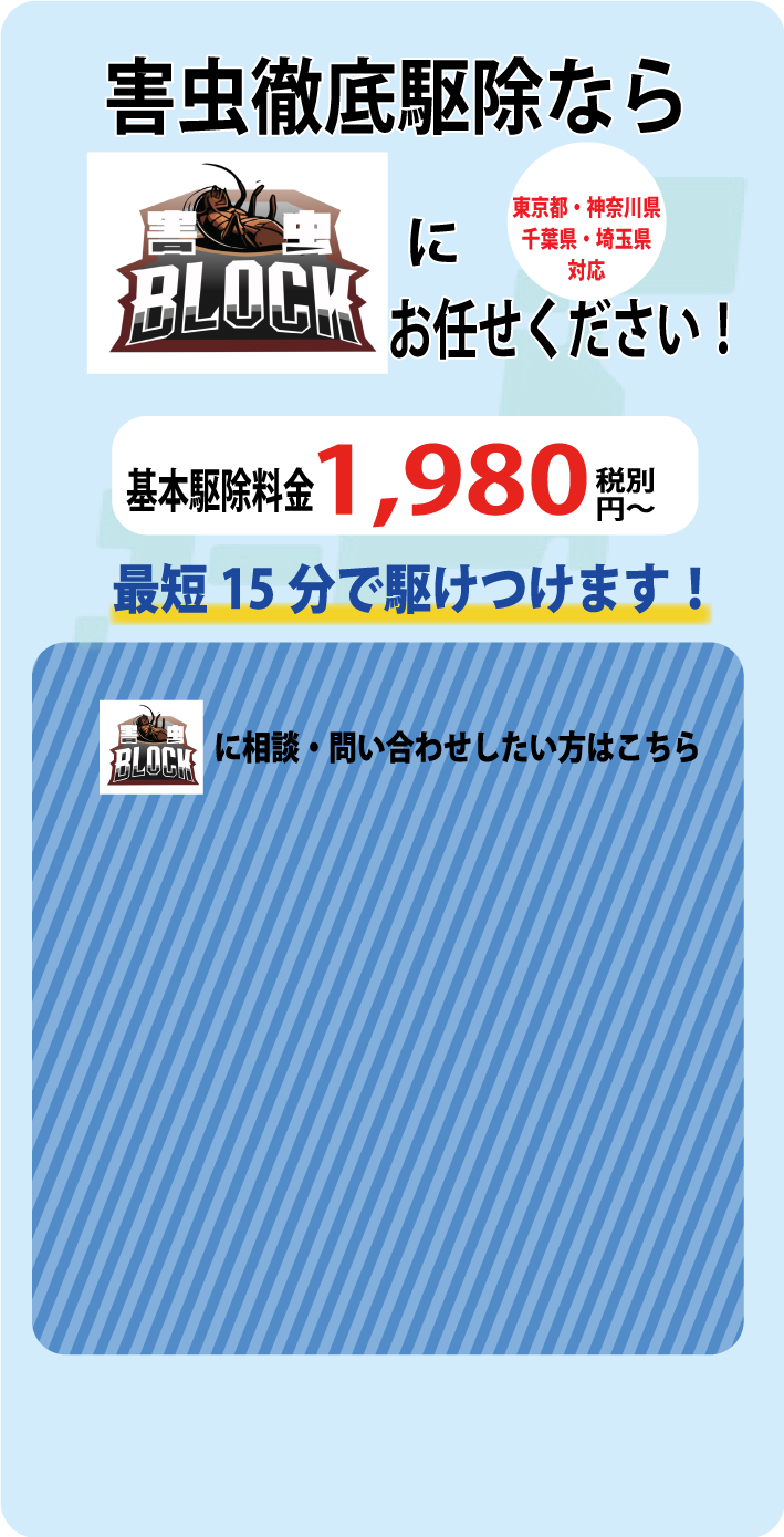 比較サイトCTA
